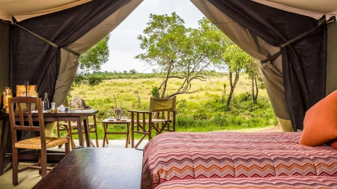 About Africa Wild Stories